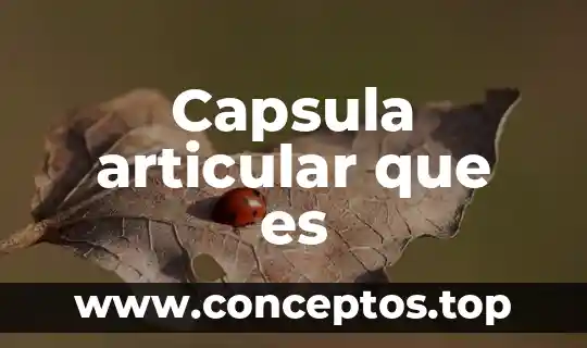 Capsula articular que es