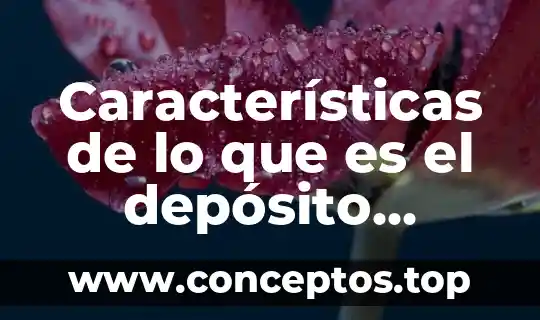 Características de lo que es el depósito bancario de títulos
