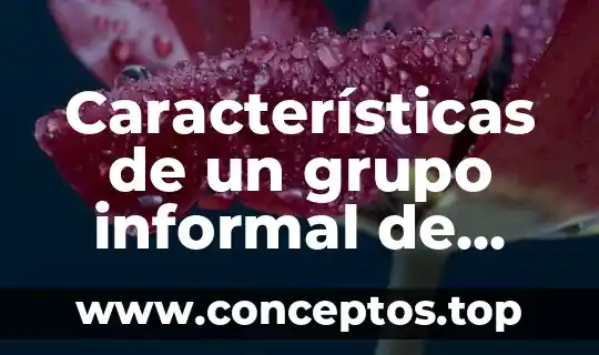 Características de un grupo informal de trabajo y que es