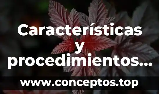 Etapa de organización significado características y que es 4 Características y procedimientos de registro de mercancías que es