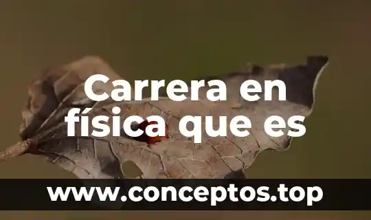 Que es una carrera profesional segun autores 8 Carrera en física que es