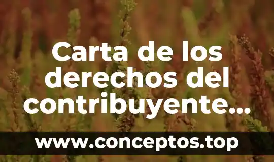Carta de los derechos del contribuyente que es