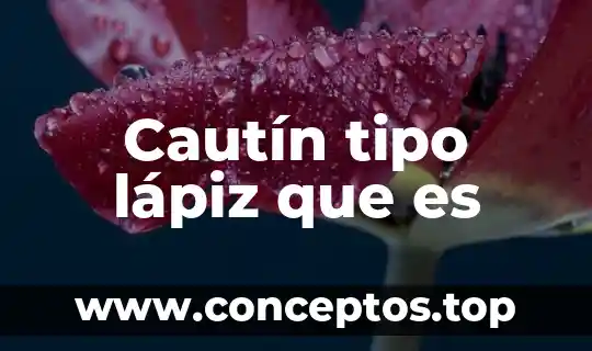 Cautín tipo lápiz que es