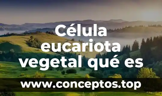 Célula eucariota vegetal qué es