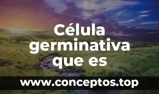 Que es besicula membranosa de celula animal 6 Célula germinativa que es