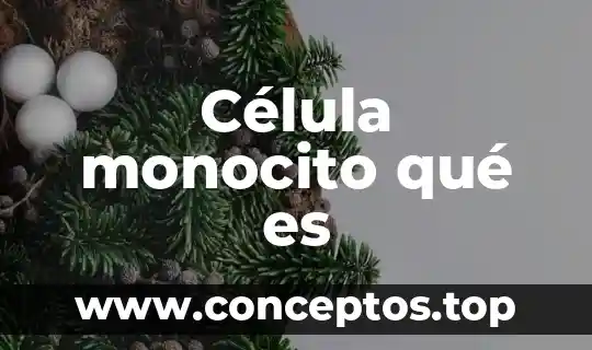 Célula monocito qué es
