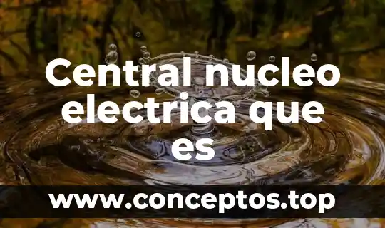 Que es un nucleo de aprendizaje 3 Central nucleo electrica que es