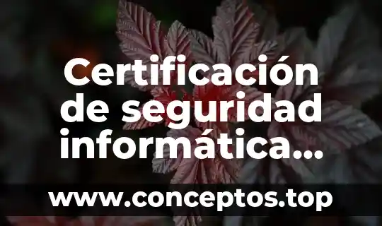 Certificación de seguridad informática que es