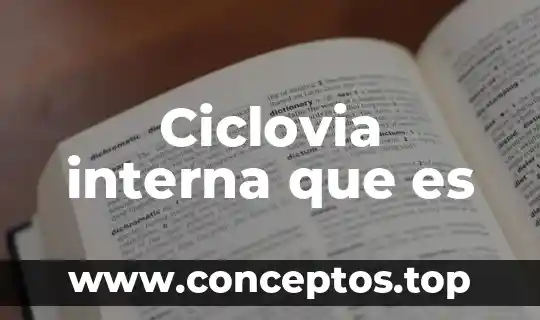 Ciclovia interna que es