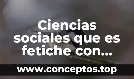 Ciencias sociales que es fetiche con auguste comte