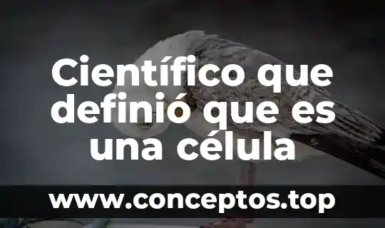 Qué es un loro y cuáles su nombre científico 5 Científico que definió que es una célula