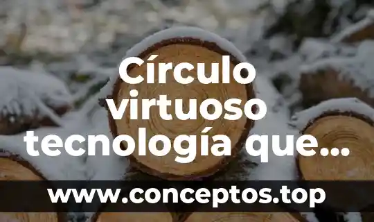 Círculo virtuoso tecnología que es