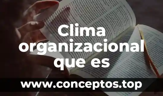 Clima organizacional que es