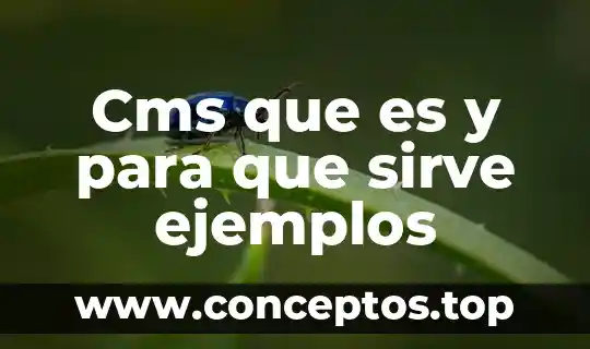 Cms que es y para que sirve ejemplos