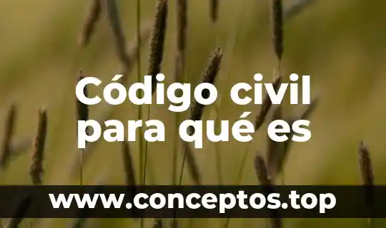Código civil para qué es