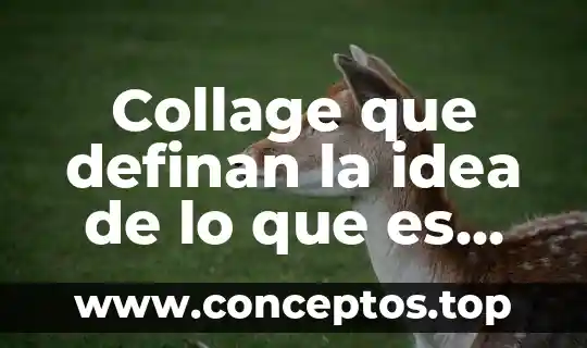 Que es el derecho hebreo 3 Collage que definan la idea de lo que es derecho