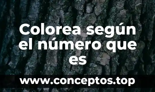 Colorea según el número que es