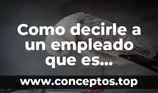 Como decirle a un empleado que es importante