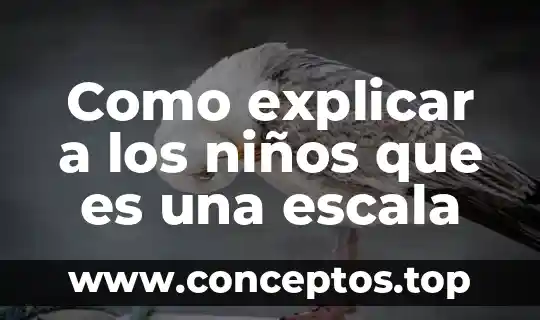 Como explicar a los niños que es una escala