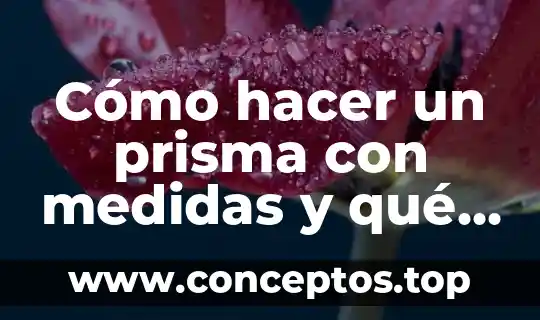 Por que es bueno hacer un examen 7 Cómo hacer un prisma con medidas y qué es ayquedrayca