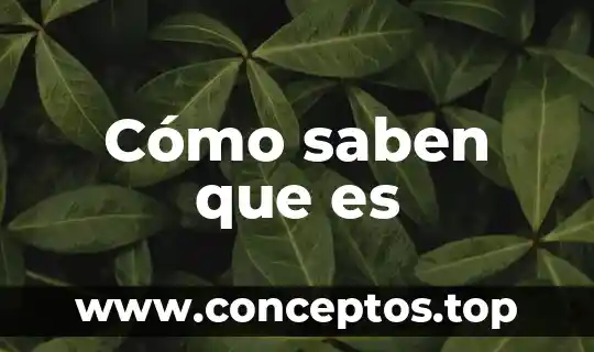 Cómo saben que es