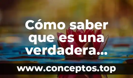 Cómo saber que es una verdadera amistad