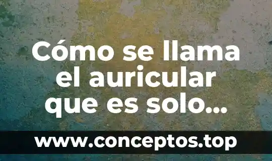 Cómo se llama la planta que es para la sangre 4 Cómo se llama el auricular que es solo para llamar