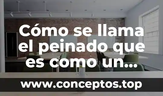 Cómo se llama la planta que es para la sangre 8 Cómo se llama el peinado que es como un chongo