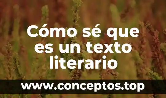 Cómo sé que es un texto literario