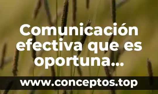Que es comunicacion bidireccional definicion 4 Comunicación efectiva que es oportuna precisa completa