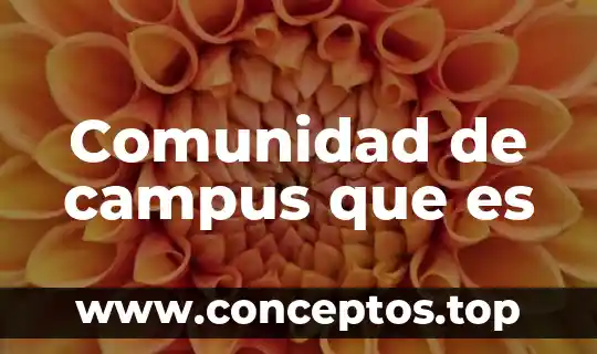Comunidad de campus que es