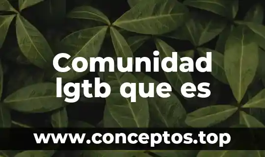 Comunidad lgtb que es