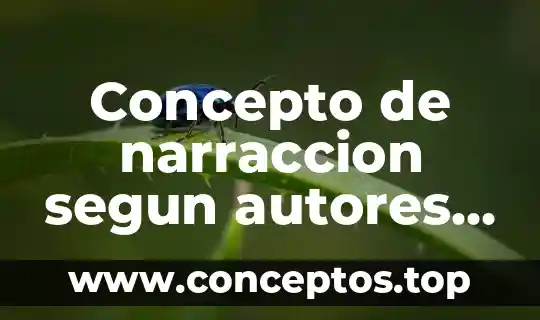 Concepto de narraccion segun autores actules que es