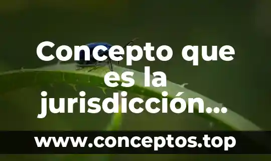 Concepto que es la jurisdicción federal