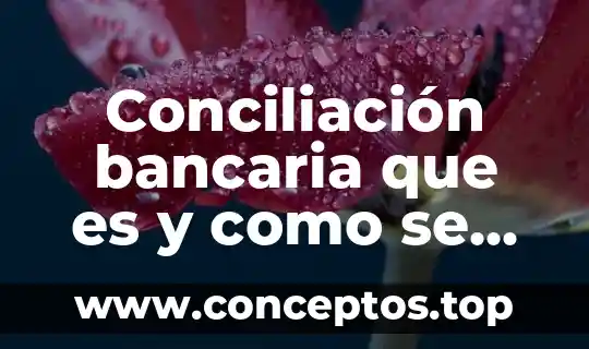 Conciliación bancaria que es y como se aplica