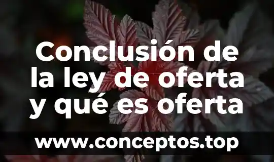Conclusión de la ley de oferta y qué es oferta
