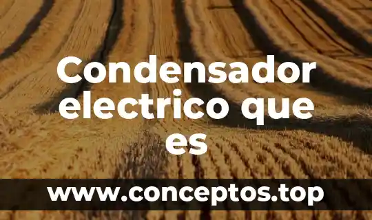 Condensador electrico que es