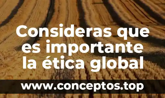Consideras que es importante la ética global