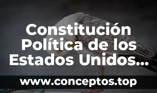 Constitución Política de los Estados Unidos Mexicanos que es