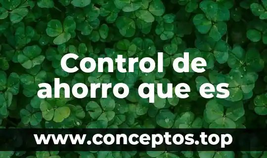 Control de ahorro que es