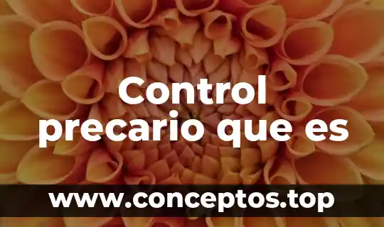 Que es un sistema de control diseno de detalle 6 Control precario que es