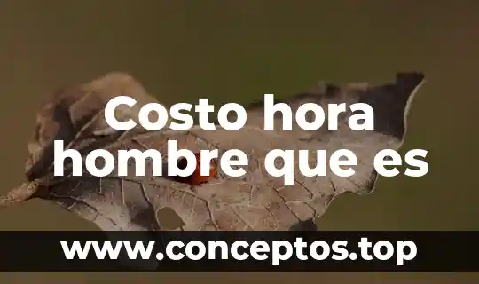 Costo hora hombre que es