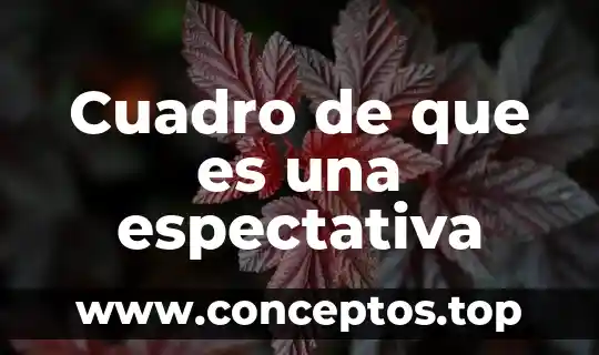 Cuadro latino que es 5 Cuadro de que es una espectativa