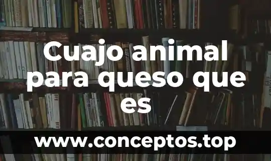Cuajo animal para queso que es
