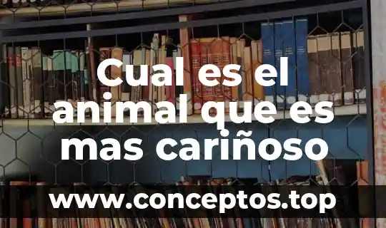 Que es creatividad animal ejemplos 8 Cual es el animal que es mas cariñoso