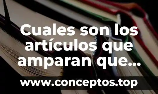 Que es el analisis de nomina 6 Cuales son los artículos que amparan que es la nómina