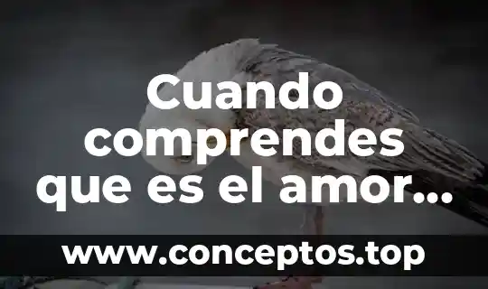 Cuando comprendes que es el amor de tu vida