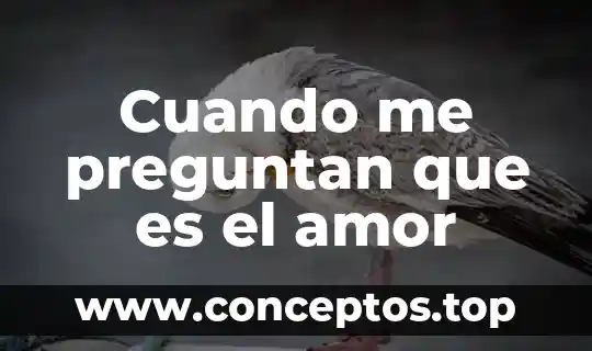 Cuando me preguntan que es el amor