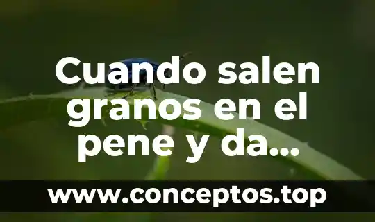 Cuando salen granos en el pene y da comezón que es