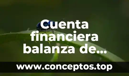Que es una cuenta bancaria ipid 3 Cuenta financiera balanza de pagos que es